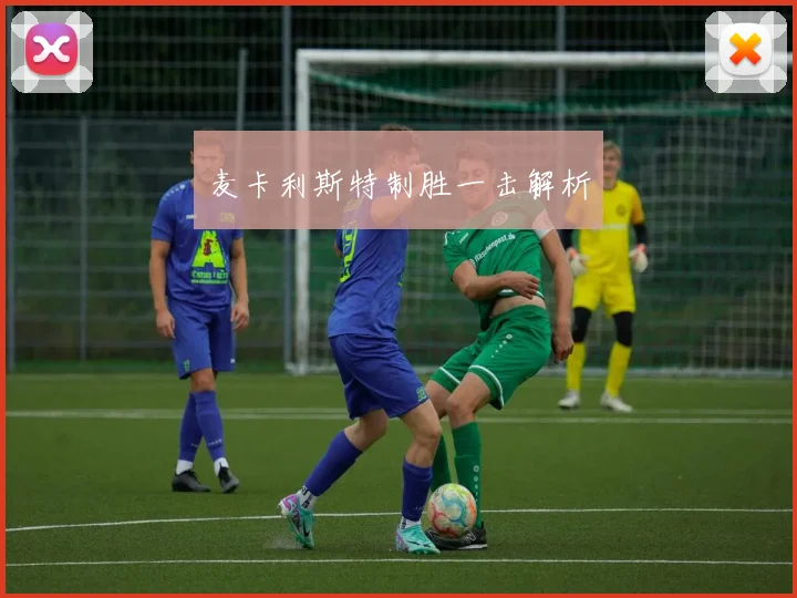 麦卡利斯特制胜一击解析