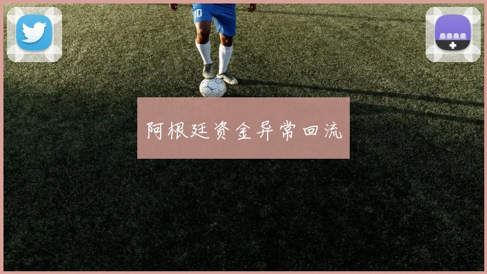 开云体育 - 阿根廷资金异常回流