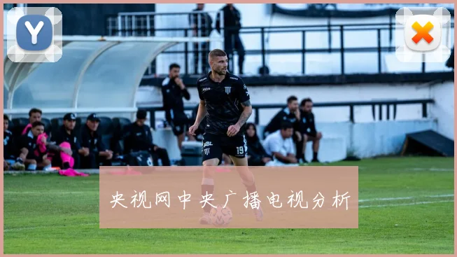 央视网中央广播电视分析