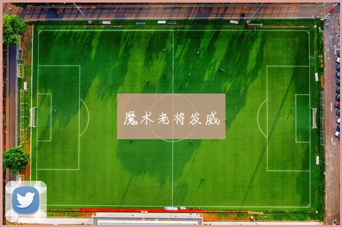开云体育 - 魔术老将发威