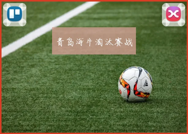 开云体育 - 青岛海牛淘汰赛战