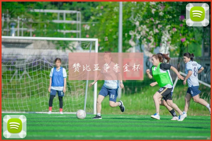 赞比亚争夺金杯