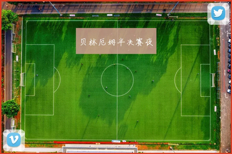 开云体育 - 贝林厄姆半决赛夜
