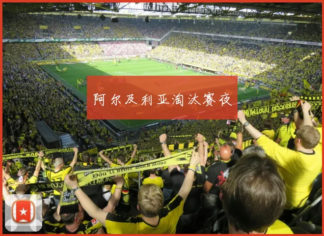 开云体育 - 阿尔及利亚淘汰赛夜