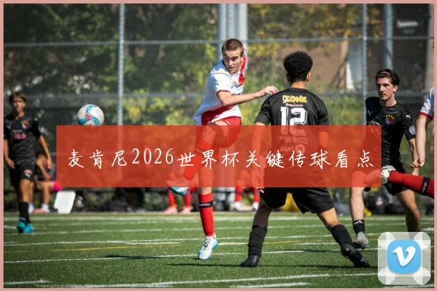 麦肯尼2026世界杯关键传球看点