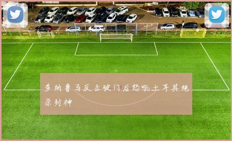 多纳鲁马反击破门后怒吼土耳其绝杀封神