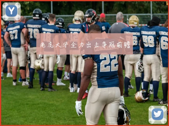 老虎大学全力出击争冠前瞻