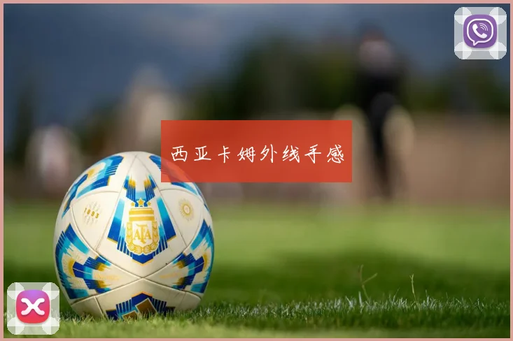开云体育 - 西亚卡姆外线手感