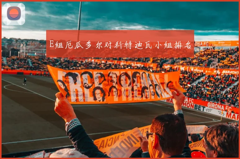 E组厄瓜多尔对科特迪瓦小组排名