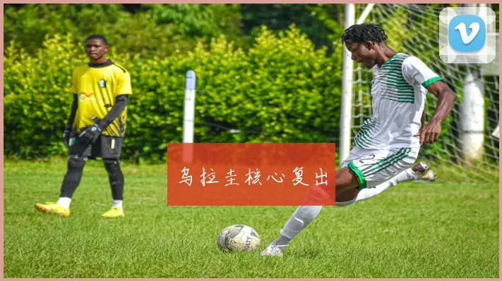 乌拉圭核心复出