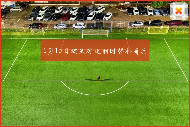 6月15日埃及对比利时替补奇兵
