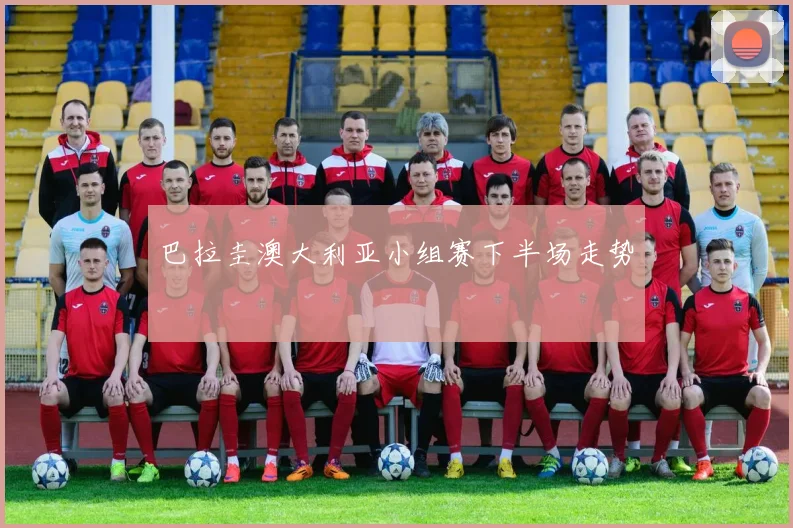 巴拉圭澳大利亚小组赛下半场走势