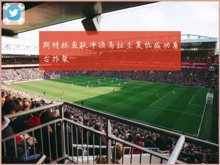 斯特林鱼跃冲顶乌拉圭复仇成功看台炸裂