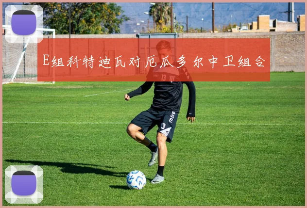 E组科特迪瓦对厄瓜多尔中卫组合