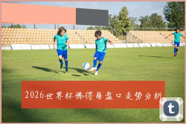 2026世界杯佛得角盘口走势分析